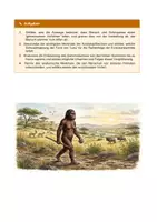 Vorschau - Stundenentwürfe - Stationenlernen - Entwicklung des Menschen (inkl. Handreichung und Lösungen) - Seite 3