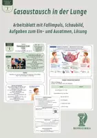 Vorschau - Unterrichtsreihen - Gasaustausch in der Lunge – Arbeitsblatt mit Fallimpuls, Schaubild, Aufgaben zum Ein- und Ausatmen, Lösung - Deckblatt