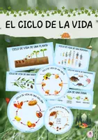 Vista previa - Tarjetas / Manipulativos - CICLO DE LA VIDA DE LOS ANIMALES - Portada
