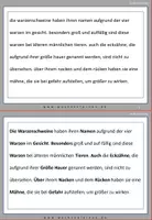Vorschau - Fördermaterial/Inklusion - Schreibschrift: Warzenschwein Spezial: Fehlerteufel Lesekarten Großschreibung - Seite 3