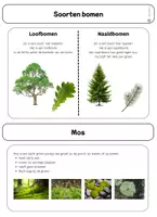 Voorbeeld - Verwerkingsbundel Flora (planten) - Pagina 2