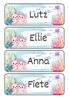 Vorschau - Poster - Namensschilder Axolotlklasse mit „Axolotl des Tages“ - Seite 3