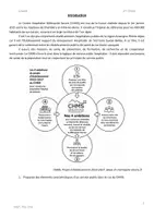 Aperçu - Préparation de séance / Séance complète - MGT Th3 Ch9 Hôpital Stratégies des organisations publiques - Page 2