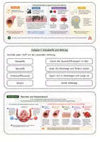 Vorschau - Unterrichtsreihen - Rauchen und die Gesundheit der Lunge – Arbeitsblatt mit Fallimpuls, Schadstoff-Schaubildern, Lösung und S/W-Version - Seite 2
