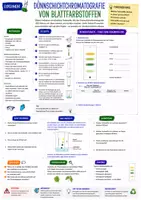 Vorschau - Arbeitsblätter - Chemie Experimente Klasse 10 - 20 Arbeitsblätter - Seite 1