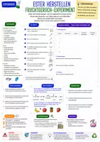 Vorschau - Arbeitsblätter - Chemie Experimente Klasse 10 - 20 Arbeitsblätter - Seite 2