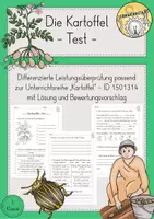 Vorschau - Arbeitsblätter - Kartoffel Test - Deckblatt
