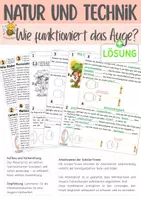Vorschau - Arbeitsblätter - NT Licht und Farben - Sehen - Brille - Deckblatt