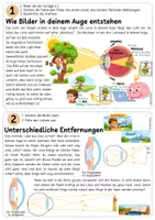 Vorschau - Arbeitsblätter - NT Licht und Farben - Sehen - Brille - Seite 1