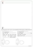 Vorschau - Arbeitsblätter - NT Licht und Farben - Sehen - Brille - Seite 3