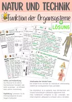 Vorschau - Arbeitsblätter - NT Funktion der Organsysteme - Deckblatt