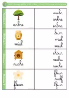 Aperçu - Jeux - Cartes à pinces – Ordre des lettres en cursive – Printemps / Été – GS - Page 1