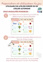 Aperçu - Feuilles d'exercices - À la recherche du déterminant – un, une ou des ? 🌸 - GS/CP - Page 1
