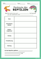 Vorschau - Arbeitsblätter - Biologie Reptilien Merkmale - Seite 1