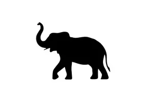 Voorbeeld - W.O. Thema Pakket: Dierenrijk - niveau eerste leerjaar (groep 3) - Pagina 3