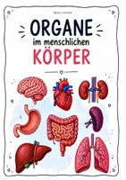 Vorschau - Arbeitsblätter - Organe im menschlichen Körper - Deckblatt