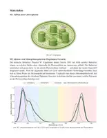 Vorschau - Klassenarbeiten - Biologie Klausur Photosynthese - Seite 3
