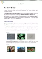 Vista previa - Unidades / Secuencias / Situaciones de Aprendizaje - La cèl·lula – Teoria, vocabulari i exercicis per a ESO - página 1