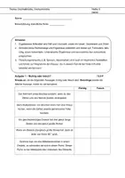 Vorschau - Klassenarbeiten - Mathearbeit Dezimalzahlen und Drehsymmetrie mit Lösungen_Klasse 6 - Deckblatt