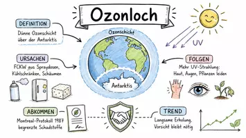 Vorschau - Arbeitsblätter - AB mit Fragen zum Thema "Ozonloch" + Lösungsblatt + Infografik - Seite 1