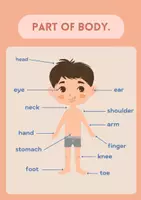ดูตัวอย่าง - Part of body - เสื้อคลุม
