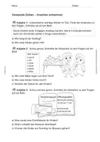 Vorschau - Arbeitsblätter - Back to school! Materialsammlung: Rechengeschichten für Klasse 2 - Seite 2