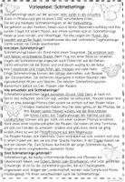 Vorschau - Arbeitsblätter - Schmetterlinge - Seite 3