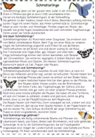 Vorschau - Spiele - Schmetterlinge Leseweg, Sachtext, Leseförderung Sachunterricht, Leseverständnis, Lesetraining, Lesekompetenz - Seite 2
