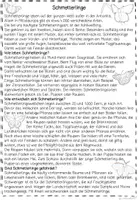 Vorschau - Spiele - Schmetterlinge Leseweg, Sachtext, Leseförderung Sachunterricht, Leseverständnis, Lesetraining, Lesekompetenz - Seite 3