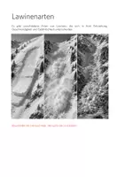 Vorschau - Arbeitsblätter - Lawinen - Material und Unterricht - Seite 3