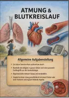 Vorschau - Bildkarten - Erklärkarten Atmung und Blutkreislauf – Szenario-Karten zu Atmung, Gasaustausch, Blut, Puls, Blutdruck, Training und Kreislaufgesundheit - Seite 1