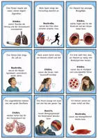 Vorschau - Bildkarten - Erklärkarten Atmung und Blutkreislauf – Szenario-Karten zu Atmung, Gasaustausch, Blut, Puls, Blutdruck, Training und Kreislaufgesundheit - Seite 2