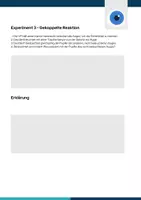 Vorschau - Arbeitsblätter - Versuch zum Auge: Pupillenreflex entdecken - Seite 1