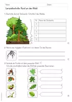 Vorschau - Test - Wald - Lernzielkontrolle / Test (3./4./5. Klasse) - Seite 1