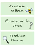 Vorschau - Stundenentwürfe - Bienen: Wer lebt im Bienenstock? - Seite 3
