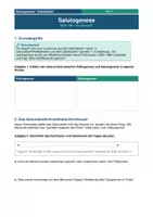 Vorschau - Arbeitsblätter - Salutogenese Pflegeausbildung Aaron Antonowsky - Deckblatt