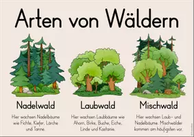 Vorschau - Arbeitsblätter - Wald - Aushänge / Tafelmaterialien (3./4./5. Klasse) - Seite 2