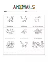 Vorschau - Arbeitsblätter - Animals – Englisch Tiere Grundschule | Wortschatz, Bild-Wort & Sätze | Klasse 3 & 4 - Deckblatt