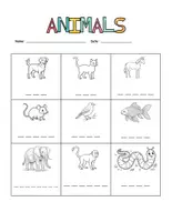 Vorschau - Arbeitsblätter - Animals – Englisch Tiere Grundschule | Wortschatz, Bild-Wort & Sätze | Klasse 3 & 4 - Seite 3