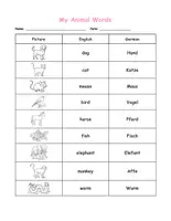 Vorschau - Arbeitsblätter - Animals – Englisch Tiere Grundschule | Wortschatz, Bild-Wort & Sätze | Klasse 3 & 4 - Seite 1