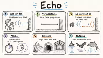 Vorschau - Arbeitsblätter - AB mit Fragen zum Thema "Echo" + Lösungsblatt + Infografik - Seite 1