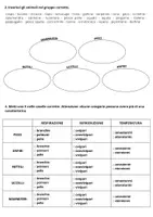 anteprima - Esercizi - Verifica sugli animali - classe quarta primaria - Pagina 3