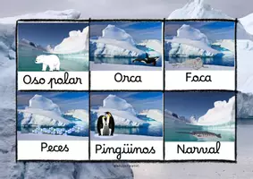Vista previa - Unidades / Secuencias / Situaciones de Aprendizaje - Bingo Polar con animales de ambos polos - página 1