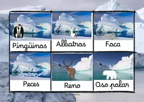 Vista previa - Unidades / Secuencias / Situaciones de Aprendizaje - Bingo Polar con animales de ambos polos - página 2