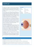 Vorschau - Stundenentwürfe - Gruppenpuzzle Sinnesorgane (Neurobiologie) - Seite 1