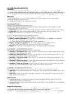 Voorbeeld - Vormleer - Pagina 3