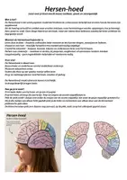 Voorbeeld - De hersenhoed; hoe zitten de hersenen in elkaar? - Voorblad