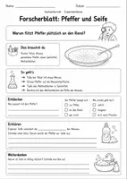 Vorschau - Arbeitsblätter - Forscherblatt Pfeffer und Seife – Experiment zur Oberflächenspannung für die Grundschule - Deckblatt