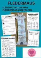 Vorschau - Arbeitsblätter - Fledermaus Lebenszyklus - Interaktives Faltbuch - Deckblatt