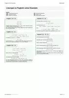 Vorschau - Arbeitsblätter - Analysis Anwendung (4. Grad): Flugbahn eines Düsenjets - Seite 2